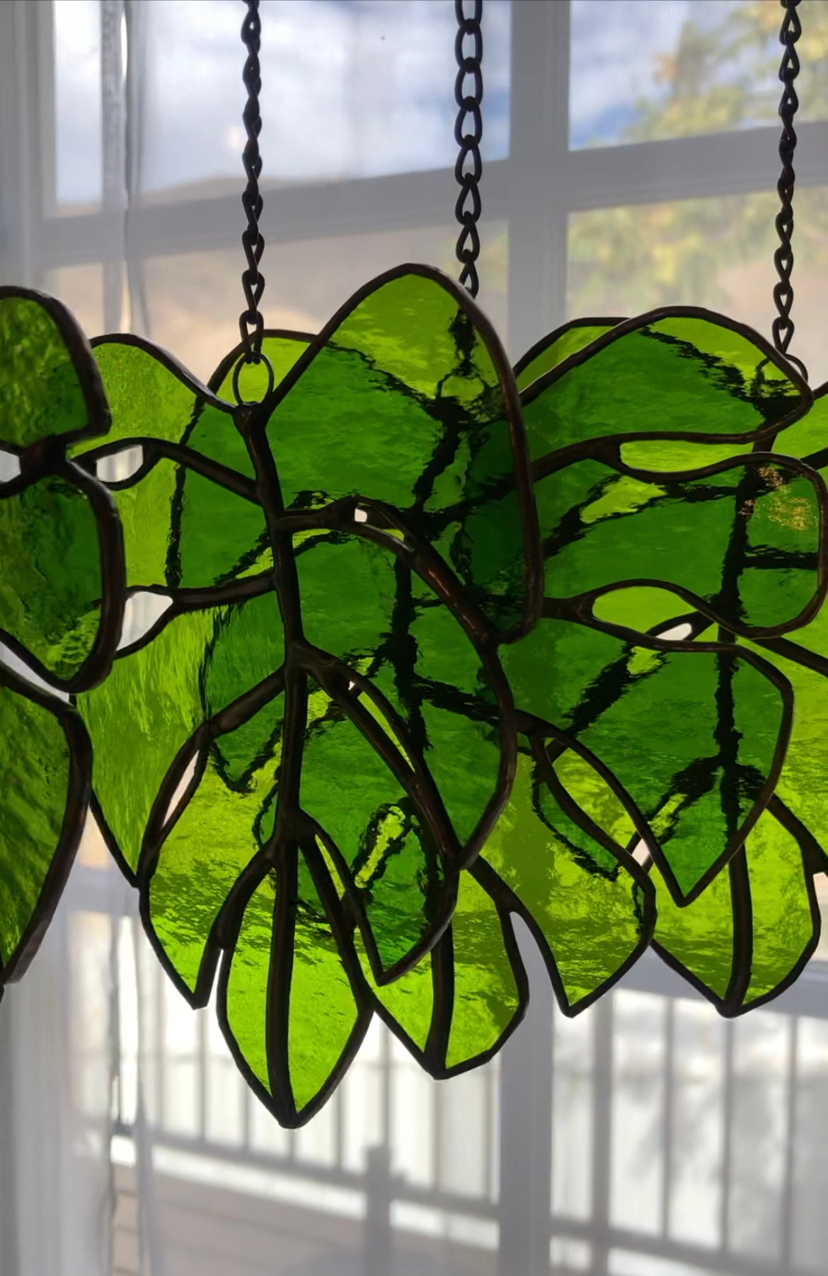 Glass leaves